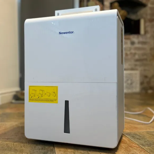 Where to Position a Dehumidifier?