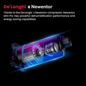 Newentor Portable Dehumidifier 25L