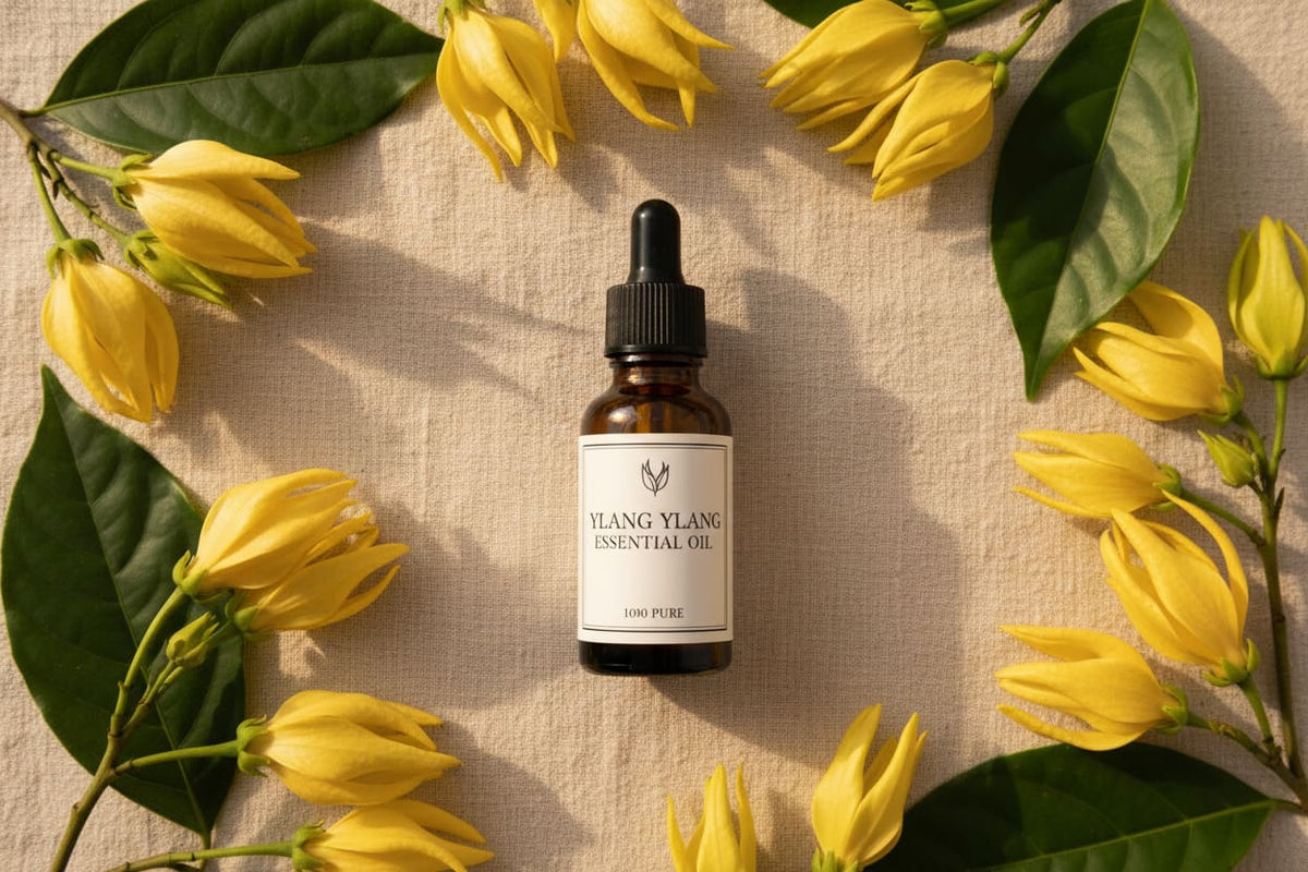 ylang ylang essential oil